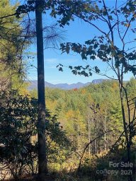 111 Swallowtail Ridge