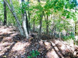 119 West Wilderness Road