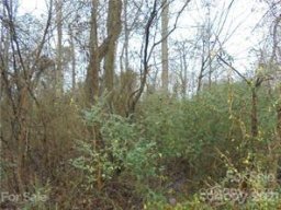 1195 Timber Spring Lane