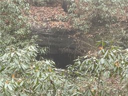 Lot 96 Peppervine Circle