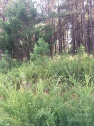 0 Moore Mountain Lane