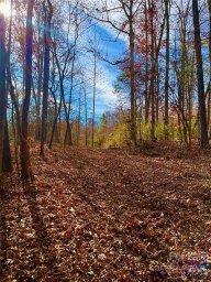 138 Addison Emery Lane