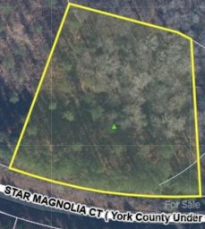 5085 Star Magnolia Court