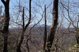 Lot 251 Autumn Ridge