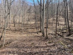 885 Stoney Stream Lane