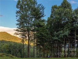 Lot 183 Dancing Bear Drive