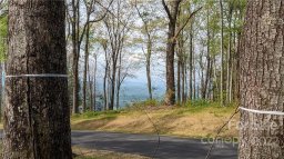 Tbd Mountain Grove Lane