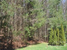 Lot 38 Sweetbriar Drive