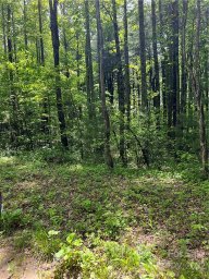 000 North Pointe Drive