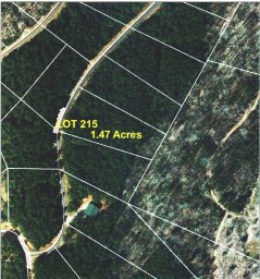 Lot 215 Bitteroot Circle