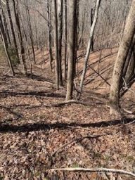 73 Mountain Lookout Drive