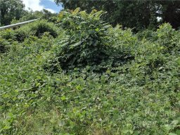 923 Green Circle Drive