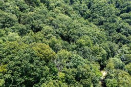 Lot 229 N Poplar Court