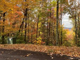 Lot 80 Peppervine Circle