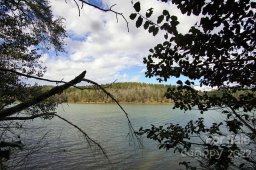 206 Pier Point Drive