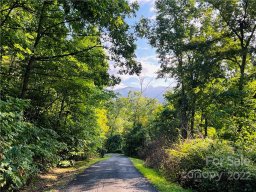 99999 Dogwood Forest Road