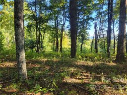 Lot 188 Dancing Bear Drive