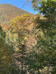 Tbd S Ridgerunner Road