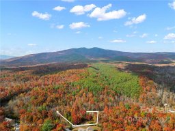 Tbd Bear Cliff Circle