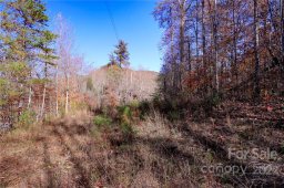 Lot 74 Buffalo Creek Road