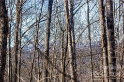 Lot 161 Ridge Stone Lane