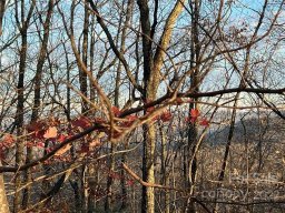 Lot 75 Grants Mountain Road