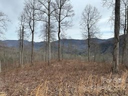 0000 Glen Haven Cove