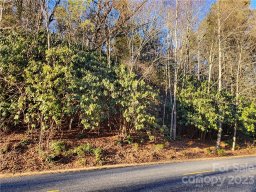 99999 Fairview Forest Drive