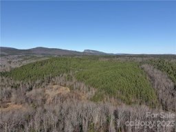 V L 54 Bear Cliff Circle