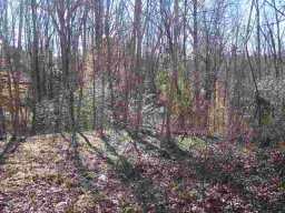 Lot 07 Glen Haven Court