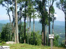 441 Bella Vista Court CV-CM-22