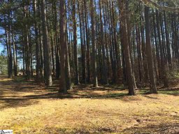 309 Meadow Tree Court