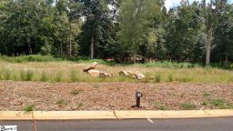 15 Meadow Reserve Place