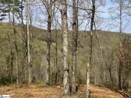 409 Augusta Links Trail