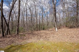 272 Delphinium Court