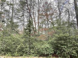 322 Gauley Falls Road