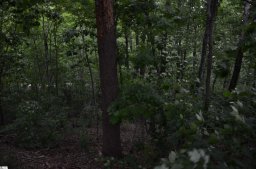 00 Altamont Forest Drive