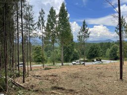 4B-72 Hickory Springs Way