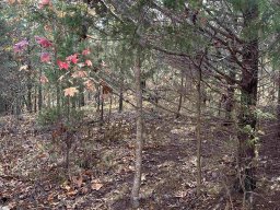 137 E Peninsula Drive