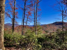 29 Speckled Grouse Way