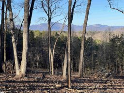 519 Hunting Hollow Drive