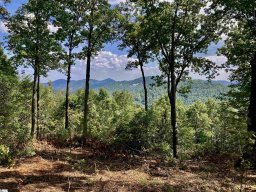 47 Mountain Oak Lane