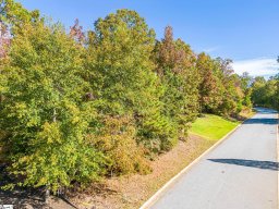 221 Saluda Run Drive