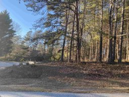 VP51 Princess Tree Way