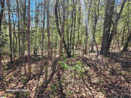 1208 Bradford Creek Lane