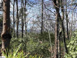 00 Stone Terrace Way