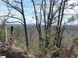 00 Stone Terrace Way