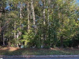 15088 Beacon Ridge Drive