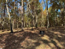 45 Darting Sparrow Way