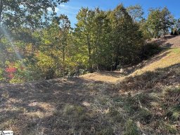 393 Blue Bonnet Trail